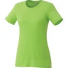 Elevate Women's Apple Heather Sarek Short Sleeve T-Shirt 1 Elevate Women's Apple Heather Sarek Short Sleeve T-Shirt -Elevate TM97887 Apple Heather F